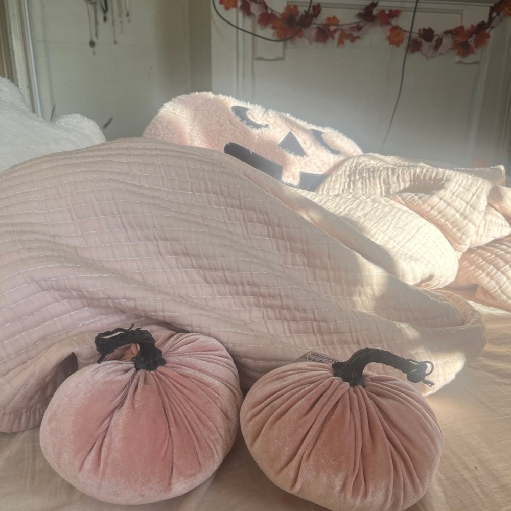 Set of two pink velvet pumpkins